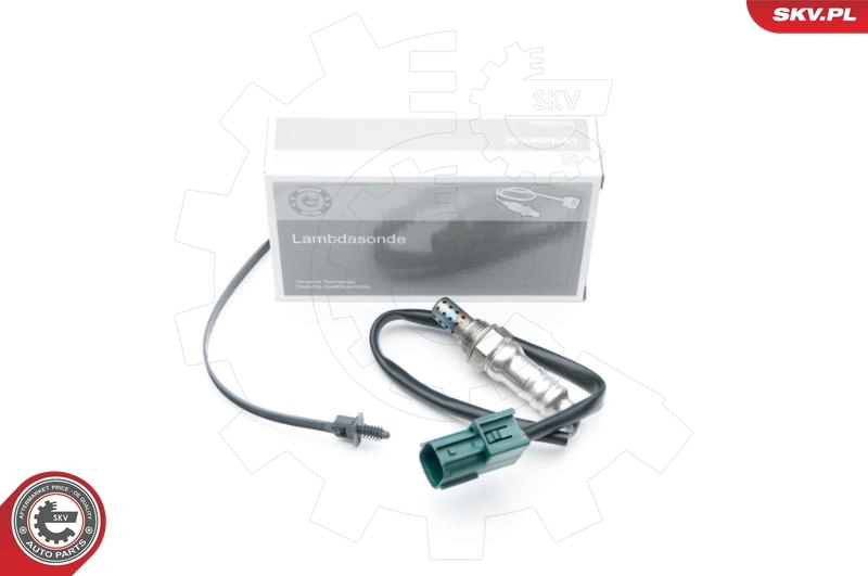 Oxygen Sensor
